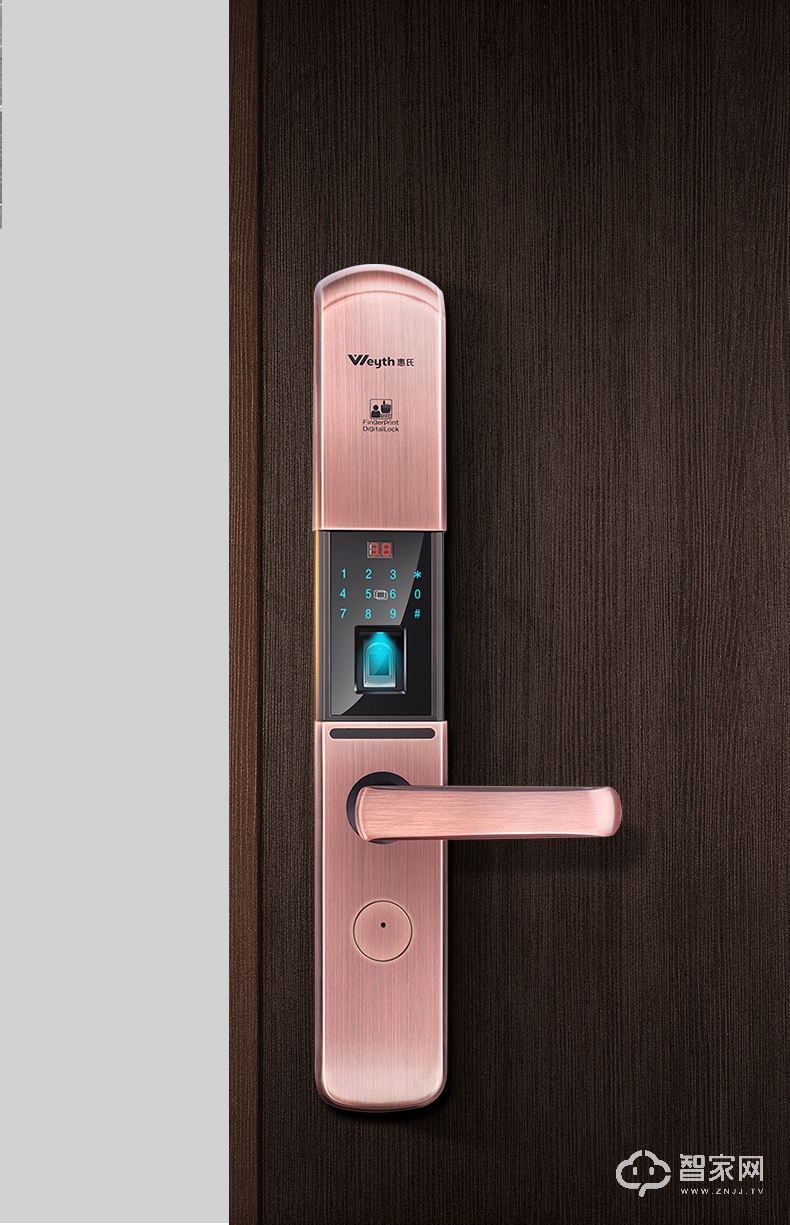 惠氏指纹锁X33 家用防盗门锁 自动滑盖智能锁